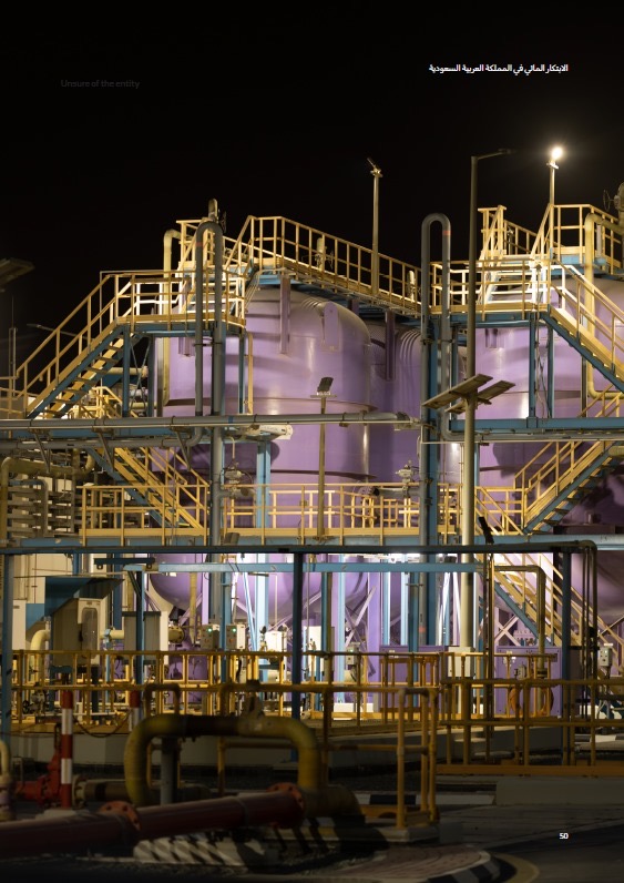 You are currently viewing بأدوات متقدمة وخارطة طريق طموحة.. السعودية تواجه تحديات المياه والزراعة والبيئة  بأكثر من 300 تقنية