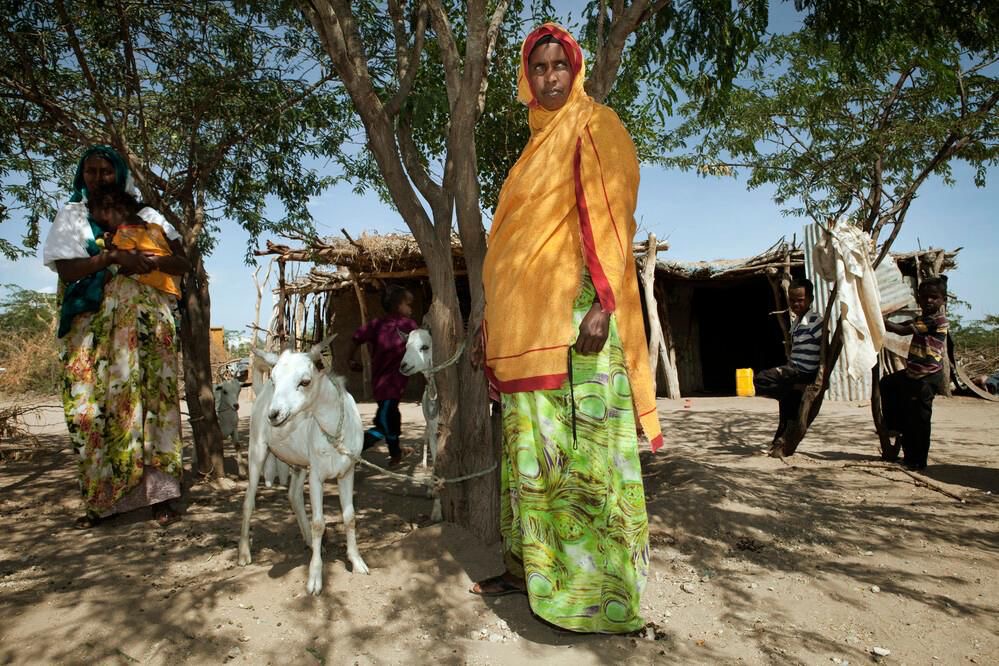 You are currently viewing IFAD calls for Somalia Women’s Market Access Innovation Challenge 2025 proposals