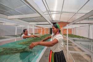 COP30: the business case for investing in climate adaptation is compelling